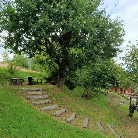 Goralska Exclusive - Beskidy Villa